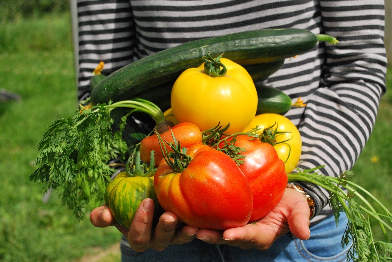 Avoir son propre potager: Quels légumes planter? 