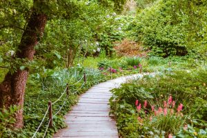 Lire la suite à propos de l’article Rendre son jardin agreable et fonctionnel avec une allee en bois.