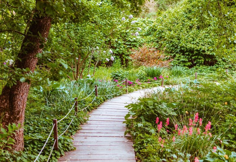 Rendre son jardin agreable et fonctionnel avec une allee en bois.