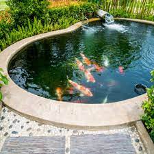 Lire la suite à propos de l’article Pourquoi amenager un bassin dans son jardin?