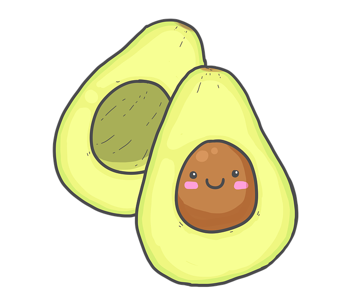 Tout sur la plantation d’avocat en France